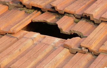 roof repair Templetown, County Durham